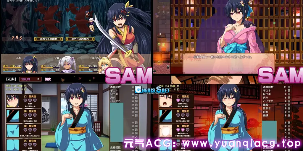 图片[1]-女忍者花梨 Ver1.2精翻汉化版 双端PC+模拟器+全cg存档 大型江户幻想RPG：女忍者花梨-游软件 - 网络资源下载基地！